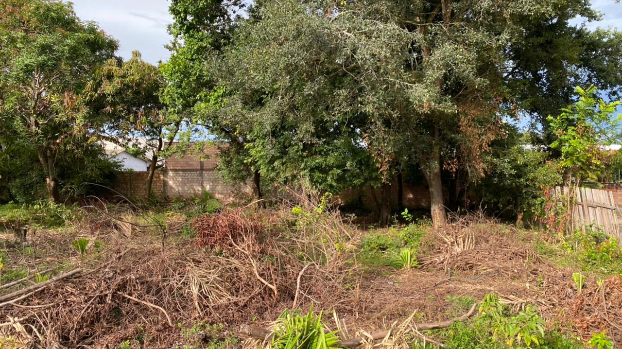 WhatsApp Image 2021-04-27 at 09.50.11.jpeg