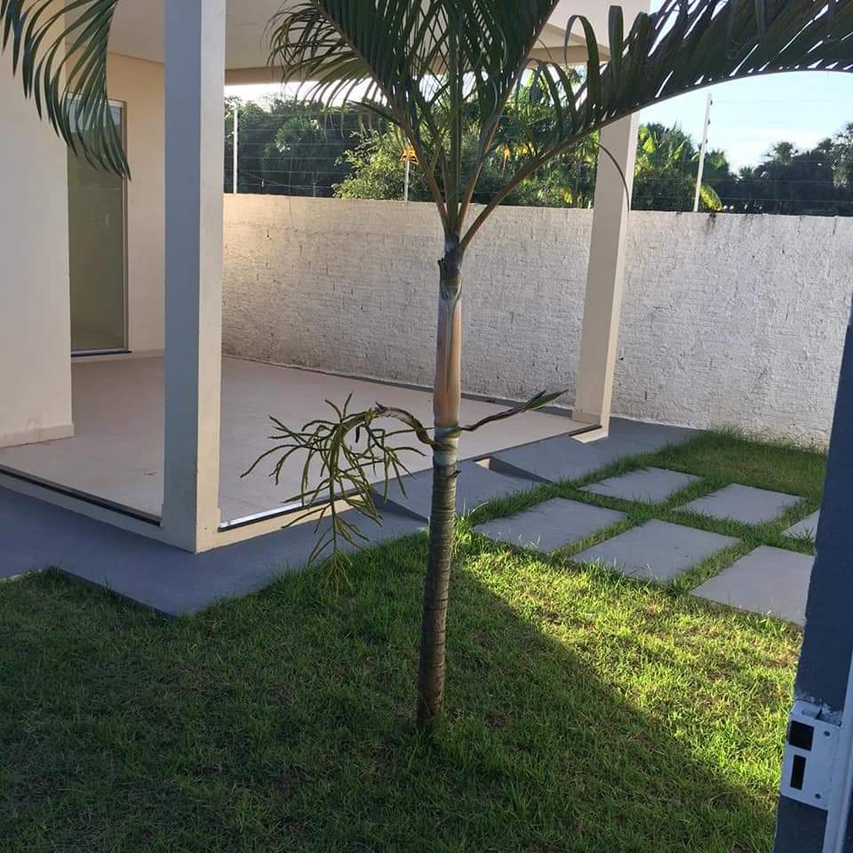 Casa da Rua Monte Alegre.jpeg